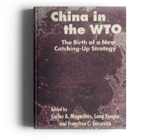 CHINA IN THE WTO